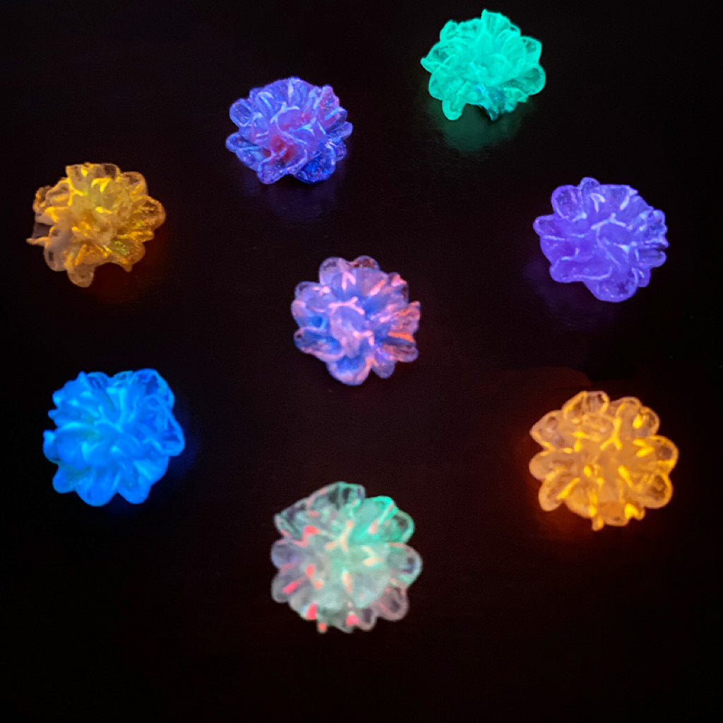A.010新品< 夜光2色 キクラゲの花>(在庫処分星ボトル足りない)