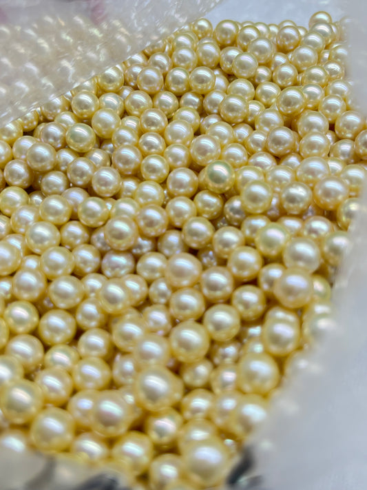 レモンパールオイスター🍋