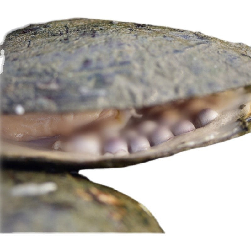 A04.お得!宝くじパール(20〜30個の真珠が入った貝1個)